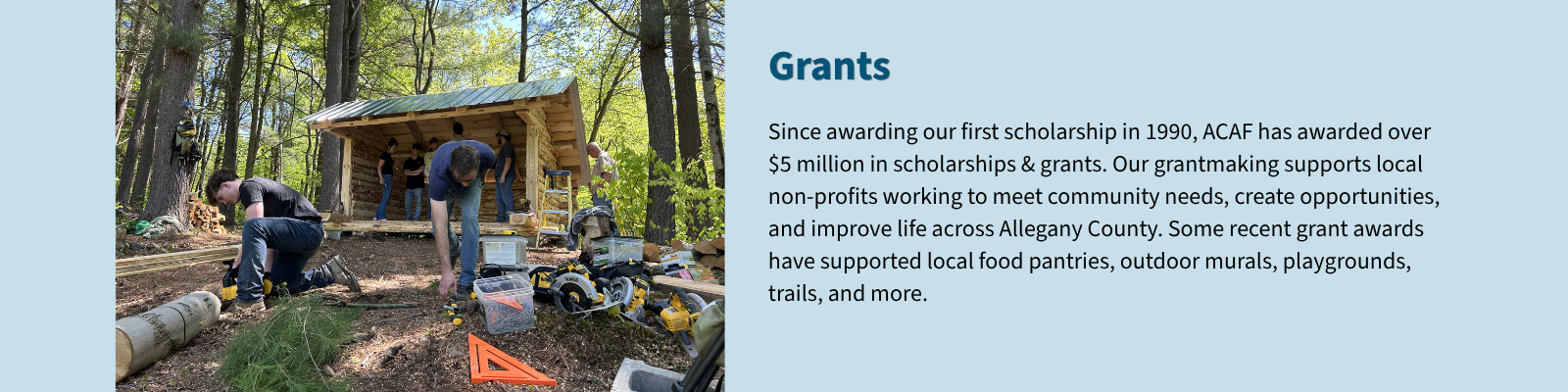 ACAFNY Grants